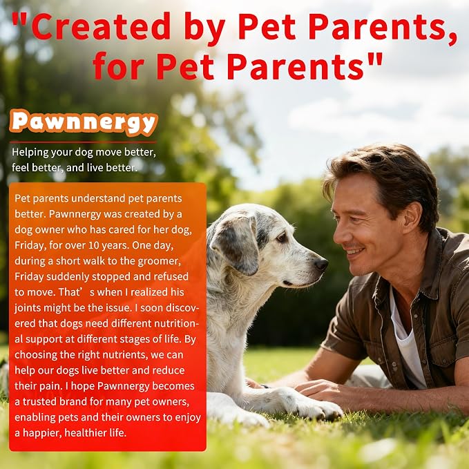 Dog Allergy Chews, Itch Relief Chews, Salmon Oil Omega-3/6, Probiotics | Vet-Recommended, Soft Chews, Vitamin B1/B2/B6, Hot Spots/Paw Licking Relief, Colostrum Probiotics, 100ct