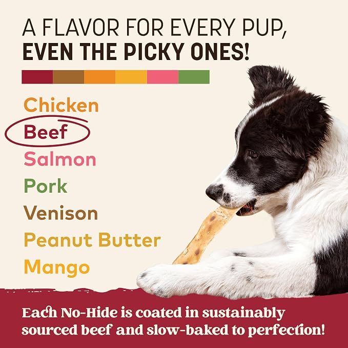Earth Animal No Hide Strips - Natural Rawhide Free Dog Chew Strips, Beef - 10 Count Value Pack