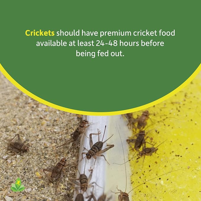 Josh's Frogs Premium Cricket Cuisine Cricket Gutloading Food (1 Gallon)
