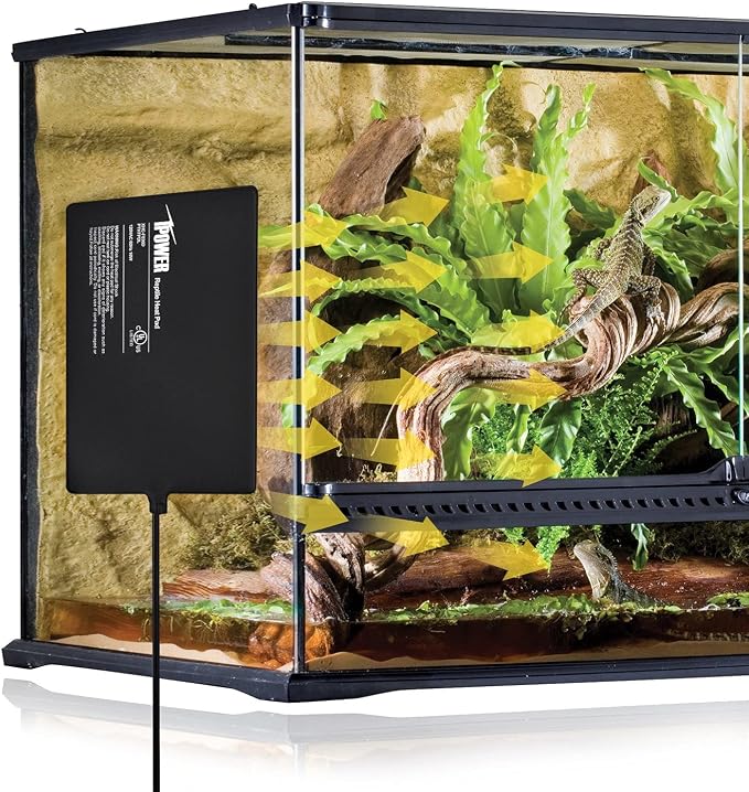 iPower 8X12 Inch Reptile Heat Pad Under Tank Heater Terrarium Warmer Heating Mat and Digital Thermostat Controller for Turtles Lizards Frogs and Other Small Animals