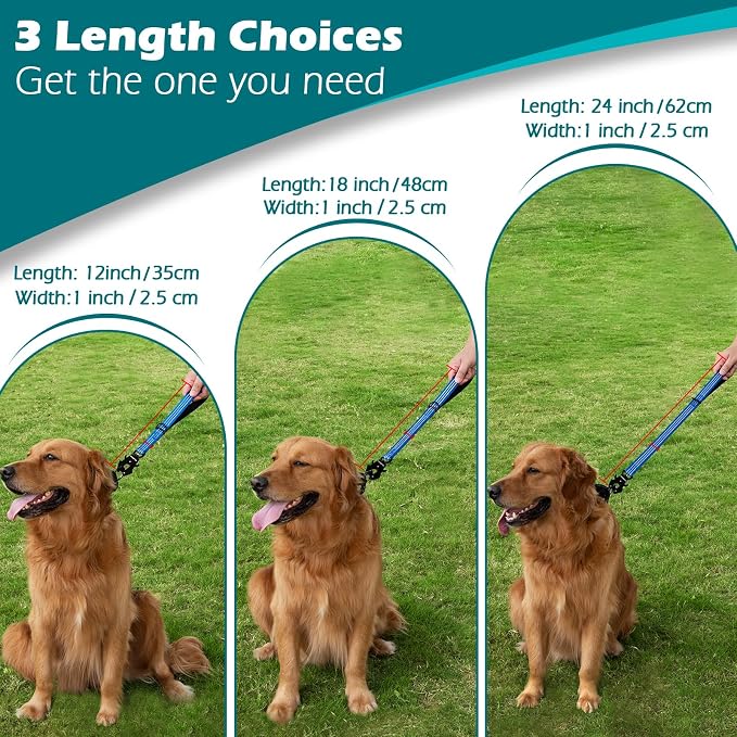 PetBonus Heavy Duty 12 Inch Short Dog Leash and 2-Pack Large Silicone Collapsible Dog Bowls