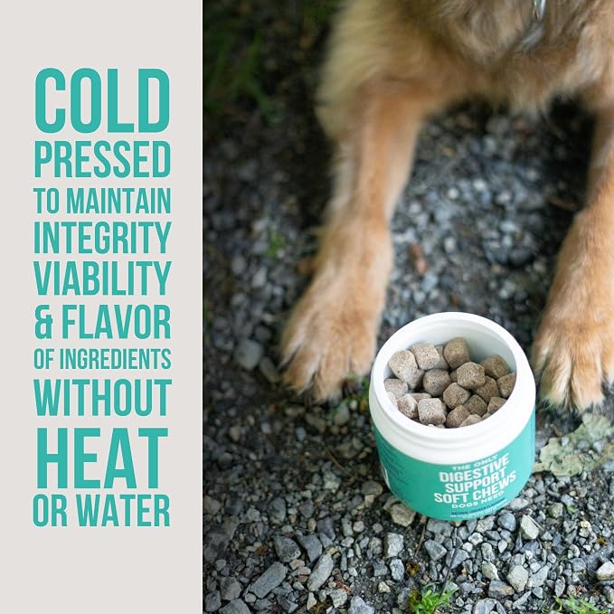 Natural Rapport Dog Digestive Supplement - The Only Digestive Support Soft Chews Dogs Need - 120ct Treats that Contain Probiotics and Enzymes to Support Digestion and Gut Health