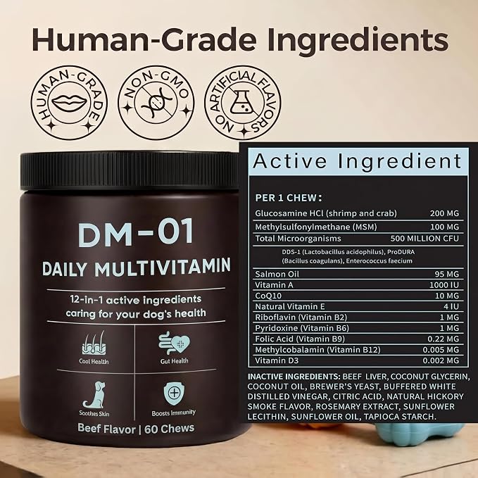 DM-01 Daily Multivitamin, Multivitamin Itch Relief Chews for Dog, with Folic Acid, Salmon Oil, Chondroitin & Natural Vitamins, Skin and Coat Healthy, Digestive & Boost Immunity, 60 Chews (Beef)