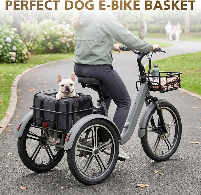 Bike Pet Bag for Tricycle, Foldable Rear Basket Bag with Mesh Ventilation & Secure Straps for E-Trike, Waterproof Polyester, Quick-Release Pannier, for Small Dogs & Cats up to 22 Lbs