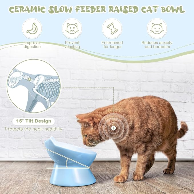 Funnymoom 2 Pcs Ceramic Raised Slow Feeder Cat Bowl, 5.91inch Elevated Cat Slow Feeder Bowl Tilted Anti Vomiting for Dry Wet Food and Water Easy to Clean High Edge(Green, Blue)