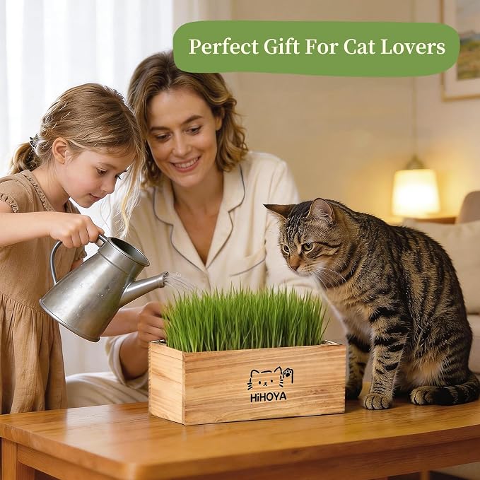 Cat Grass Kit for Indoor Cats - 5 Harvests Cat grass Growing Kit with Wooden Planter, 5 Seed Packets, 6 Soil Disks, Spray Bottle, Tools & Scissors - Natural Hairball Control for Nipping & Nibbling