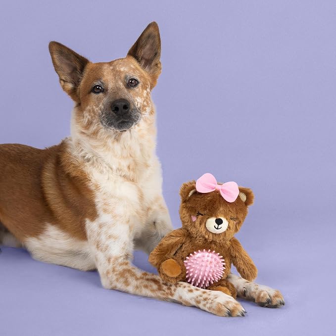 Fringe Studio Plush Squeaky Dog Toy with Spiky TPR Ball, BE My Cuddle Buddy?, Petshop Collection (314670)