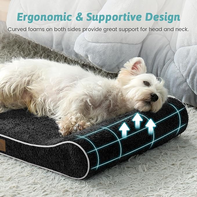 COZY KISS Orthopedic Dog Bed for Medium Dogs up to 65 lbs - Removable Washable Cover with Waterproof Lining & Non-Skid Bottom, Cotton-Polyester Blend Boat-Shaped Lounger Mattress, M(36x24x5.5in)/Black
