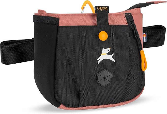 OllyDog Backcountry Day Bag | Dog Training Treat Pouch | Eco-Friendly Recycled Fabric Fanny Pack with Zipper Closure, Built-in Poop Bag Dispenser & Adjustable Waist Belt (Desert)