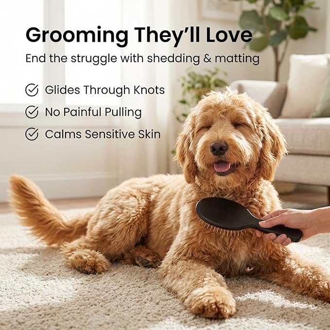 We Love Doodles Pin Brush for Dogs & Dog Grooming Scissors Kit