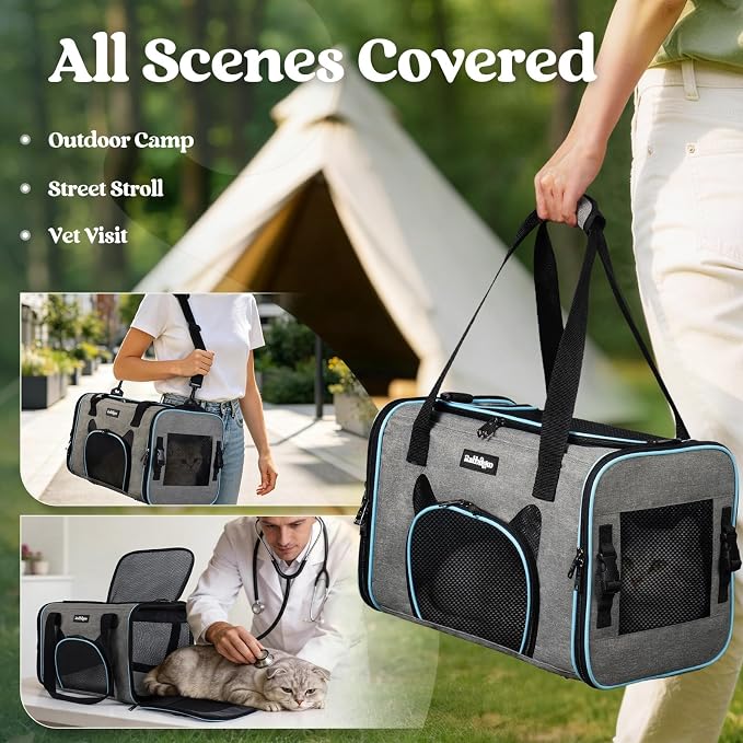 rabbitgoo Cat Carrier Soft Sided, Stable Portable Pet Carrier with Safety Buckles for Car Travel Vet Visit Airline, Comfortable Breathable Kitten Bag for Small Medium Cat, Grey, 17x11x11 inch
