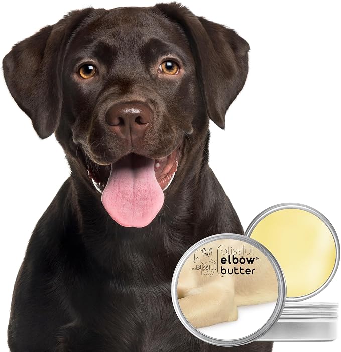 The Blissful Dog Elbow Butter for Dry, Cracked Calluses, Lick-Safe Dog Balm, Soothing Elbow Balm with Moisturizing Shea Butter, Almond, Olive, and Essential Oils, Pet Supplies, 4 oz. Tin