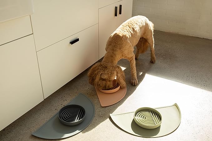 Should We Go? Waterproof Silicone Dog Food Mat – Medium Size Non-Slip Pet Bowl Mat, Raised Edge Design, Easy-to-Clean Pet Food Placemat for Dog & Cat Bowls, 21" Across x 10.5" Deep - Sage Green