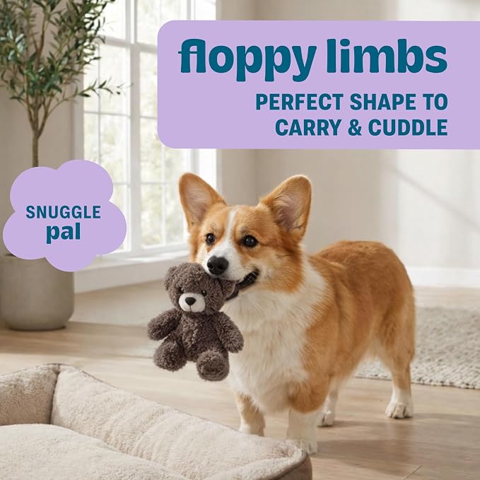 Calming Plush Dog Toy with Squeaker, Ultra-Soft Floppy Cuddle Companion, Coconut Scented, Bear, Small, 7.9”