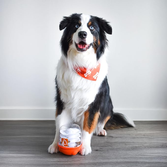 Nylabone Boop-N-Bobble Interactive Puzzle Toy & Treat Dispenser for Dogs, Mental Stimulating Dog Enrichment Toys, Treat Ball with 3 Customizable Challenge Levels
