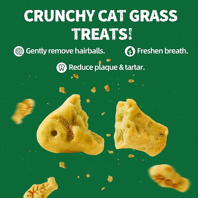 Just Try 36 OZ Cat Grass Treats Salmon Oil Natural Salmon Kitten Healthy Cat Treats Training Biscuits Snacks Fish Oil Omega 3 Supplements for Cats Joint Support & Skin Coat Health