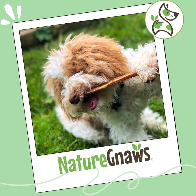 Nature Gnaws Extra Thin Bully Sticks for Small Dogs 5-6" (50 Count) - Long Lasting for Light Chewers and Puppies - Natural Beef Dog Chew Bone