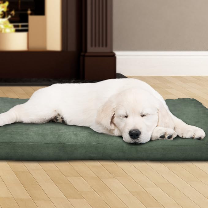 PETMAKER Dog Bed with Removable Cover â€“ 44x35 Pet Bed - 3-Inch Egg Crate Style Foam Orthopedic Dog Bed, Microsuede, and Non-Slip Crate Pad (Forest)