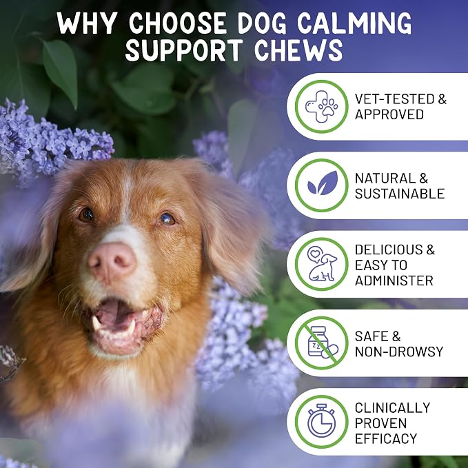 Brave Paws Calming Chews for Dogs - Plant-Based Dog Calming Chews for Anxiety Relief Support with Souroubea - Helps with Dog Separation Anxiety, Stress, Travel & Loud Noises (Fireworks, Thunder)