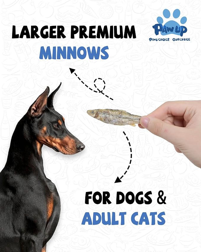 PAWUP Freeze Dried Quail Egg Yolk Pet Treats, Freeze Dried Minnows Dogs Treats 100% Raw Single-Ingredient Healthy Training Rewards & Meal Toppers