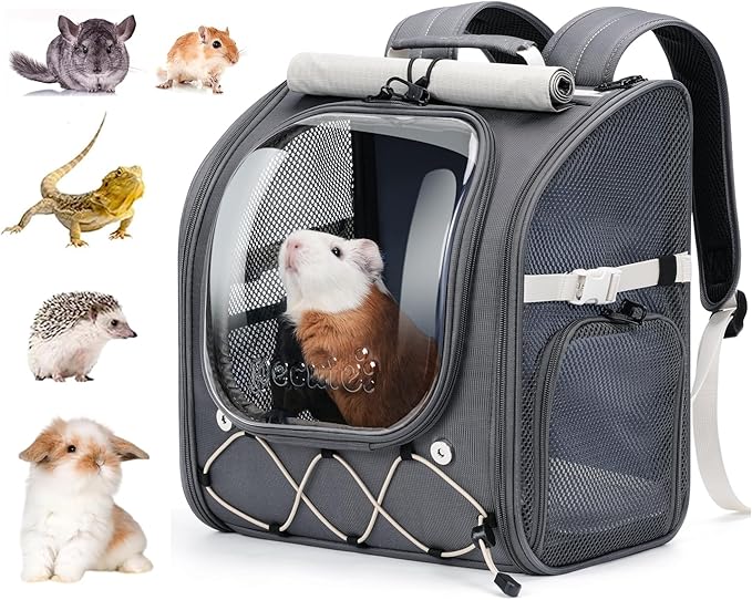 Pecute Small Pet Carrier, Breathable Bearded Dragon Carrier, with Transparent Bubble & Steel Frame, Safety Lock for Hamster, Rabbit, Guinea Pig, Parrot, Kitten, Puppy, Ideal for Travel/Vet Visits/Camp