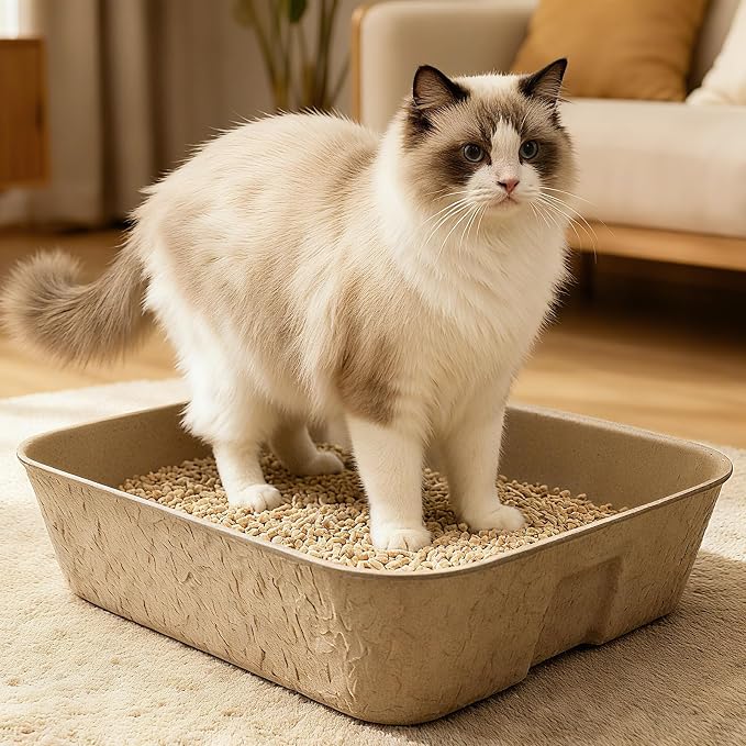 8 Pack Disposable Cat Litter Boxes, 16 x 12 x 3 Inch Portable Paper Cat Litter Tray, Large Leak Resistant Toilet Liners Box for Travel, Rabbits, Small Animals, Brown