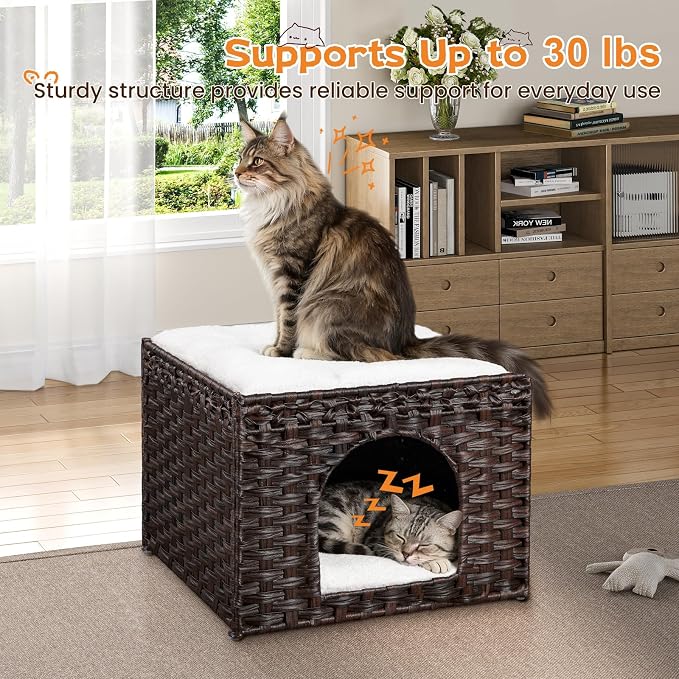 Snughome Handwoven Rattan Cat House - Indoor Foldable Cat Bed Cave with 2 Removable Bed Mats, Large Kitten House, Hideaway Pet Cube, 16.54 x 16.54 x 12.6 Inches, Brown, for Living Room & Bedroom
