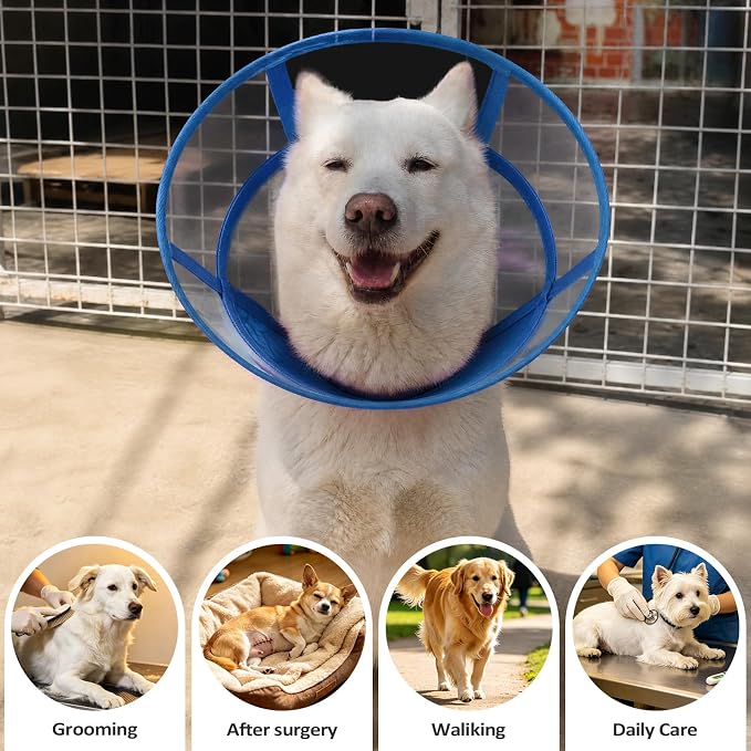 Dog Cone Collar for After Surgery Recovery, Soft Adjustable Elizabethan Collar for Small Medium Large Dogs, Comfortable Anti-Lick Cone for Wound Healing (Blue L)