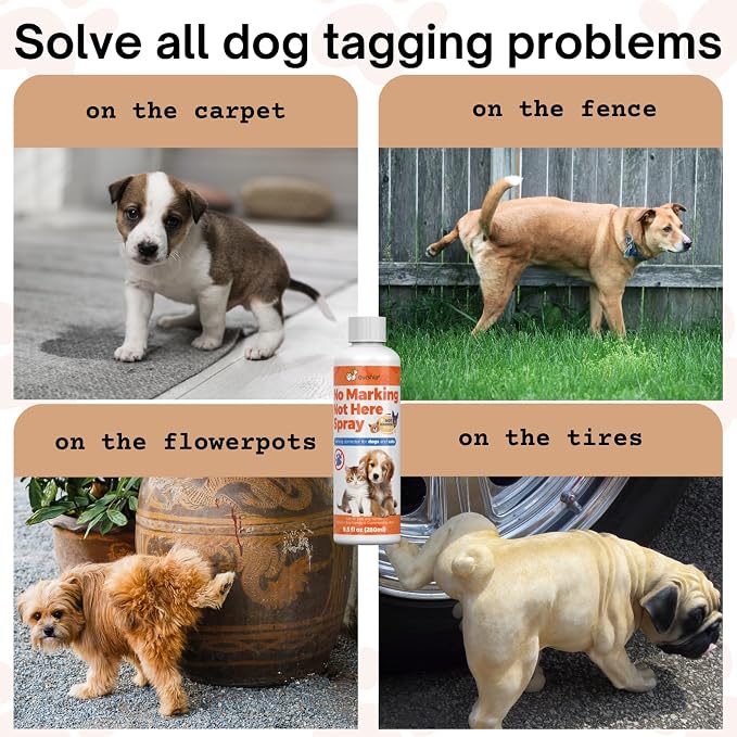 8oz Effective Solution for Training Dogs to Avoid Indoor Marking, Stop Dog Urinating in House with No More Peeing, Safe Don't Pee Here Dogs Marking Wrong