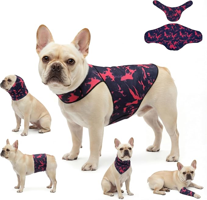 DAJIDALI® Dog & Cat Anxiety Vest & Spay Recovery Suit – Silent Adjustable Calming Wrap for Surgery & Thunderstorms – 2-Piece Cone & Recovery Onesie Alternative