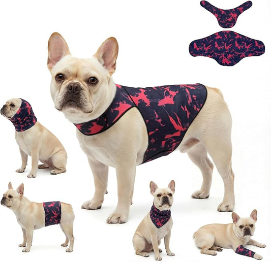 DAJIDALI® Dog & Cat Anxiety Vest & Spay Recovery Suit – Silent Adjustable Calming Wrap for Surgery & Thunderstorms – 2-Piece Cone & Recovery Onesie Alternative