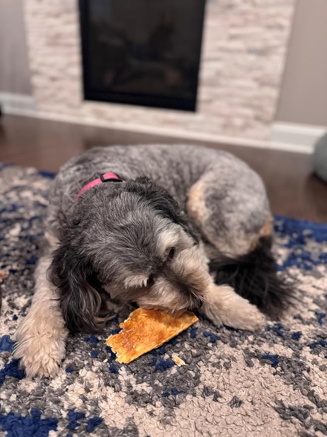Fieldcrest Farms Nothin to Hide Flip Chips Dog Chews - Natural Rawhide Alternative Treats for Dogs, Collagen Based Snack for Moderate Chewers Up to 35lbs, Chicken Flavor
