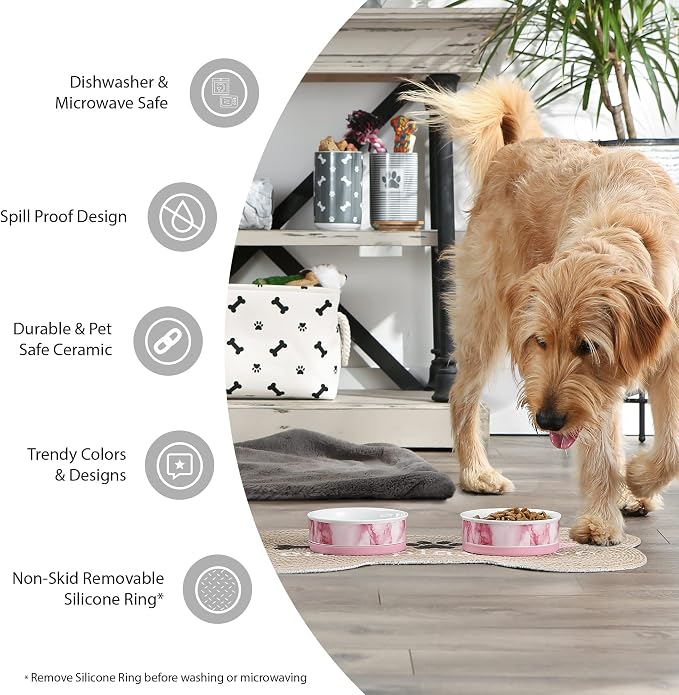 Bone Dry Paw & Patch Ceramic Pet Collection, Medium Set, 6x2, Rose, 2 Piece,5742