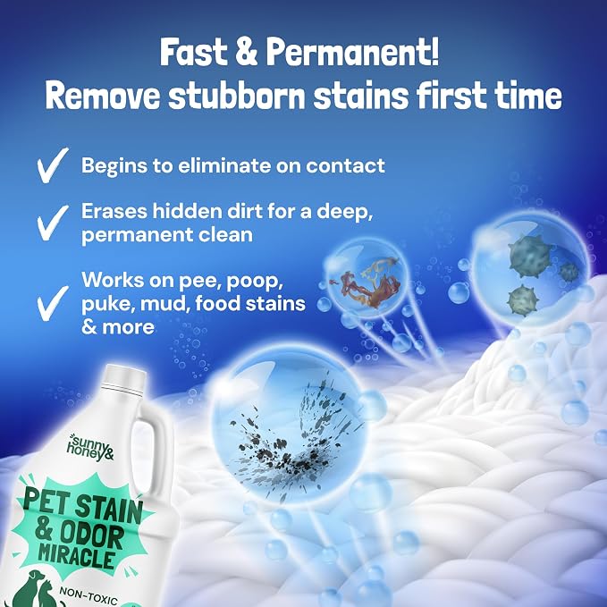 Sunny & Honey Pet Stain and Odor Remover - Enzyme Cleaner for Dog Urine and Poop on Carpets and Furniture - Strong Pet Carpet Cleaner Spray (1 Gallon Mint)