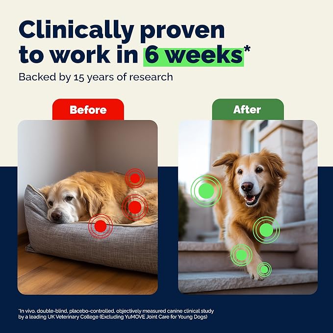 YuMOVE Advanced Vet Strength Hip & Joint Supplement for Dogs - ActivEase Green Lipped Mussel, Glucosamine, Hyaluronic Acid & Omega 3 for Serious Mobility Support (180ct Chews, Advanced Strength)