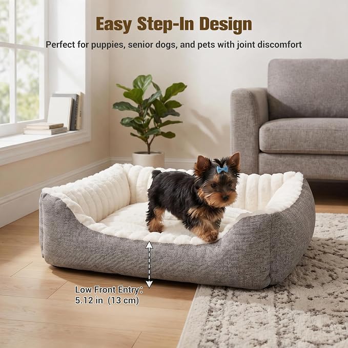 Avont Supportive Dog Bed for Small Dogs & Cats, Plush Foam Fill, Cream | Removable Machine Washable Cover, Low 5.12" Entry for Pups & Seniors, 7:3 Foam-PP, Non-slip Bottom, Hidden Chew-proof Zippers