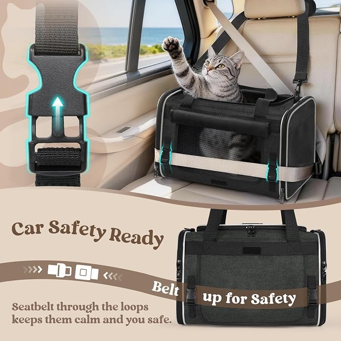 rabbitgoo Cat Carrier Soft, Pet Bag with Rollable Flap for Anxious Kittens, Travel Safe for Car Airline, Collapsible Portable Carrying for Small to Medium Cats, Black, 17" L x 11" W x 11" H