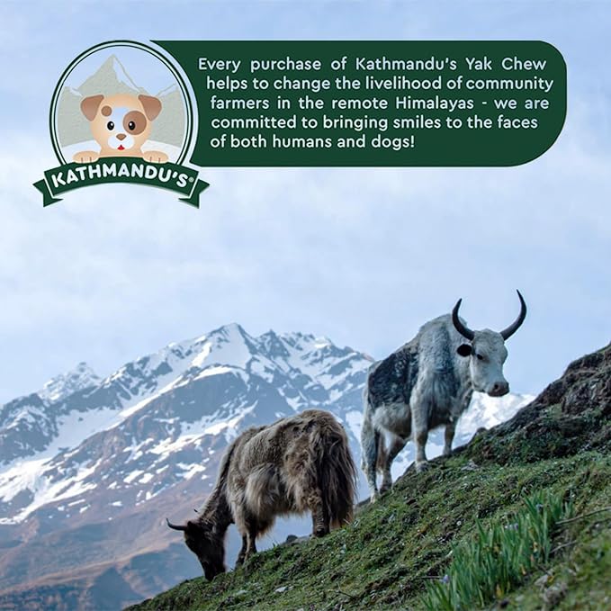 KATHMANDU'S Authentic Himalayan Yak Cheese Chews - All Natural and Protein-Rich Nutrition Dog Treats, Long Lasting Chews for Aggressive Chewers, Odor & Gluten Free Yak Chew | Jumbo (Pack of 5)