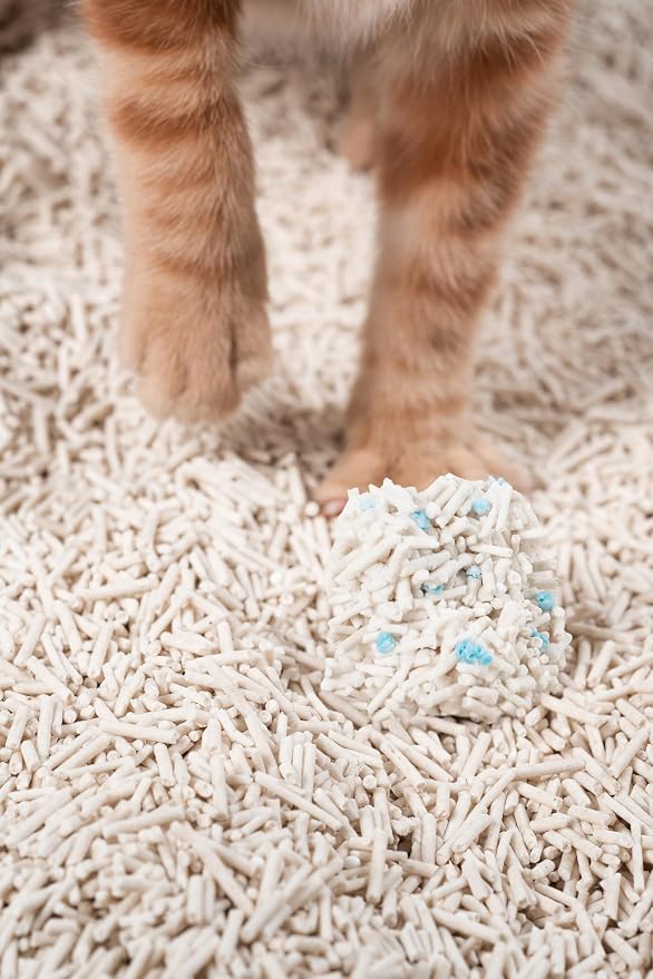 pidan Tofu Cat Litter with Occult Blood Test,Clumping,Flushable,Ultra Absorbent and Fast Drying, 100% Natural Ingredients Litter,Solubility in Water,Really Dust-Free,Less Scattering (5.3lb×2bags)