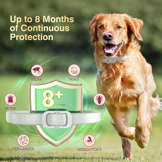 Natural Flea and Tick Collar for Dogs - 4 Pack, 8 Months Long-Lasting Protection, Waterproof, Adjustable Size for Small Medium and Large Dog