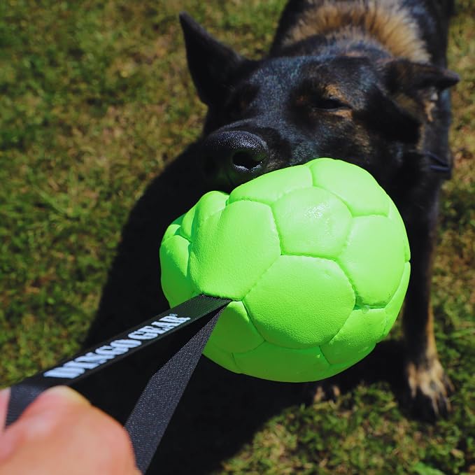 DINGO GEAR WWW.DINGOGEAR.COM 1977 Set Faux Leather Ball with Pump for Dog Training, as Reward for Fetch tug of war, for Strong Dog, Handmade, 7in Green Z30034
