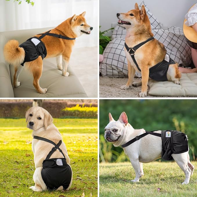 Idepet Female Dog Diapers with Suspender Detachable, 3 Pack Washable Reusable Girl Doggie Diapers for Small Medium Female Dog in Heat Period Cycle Urinary Incontinence Training L