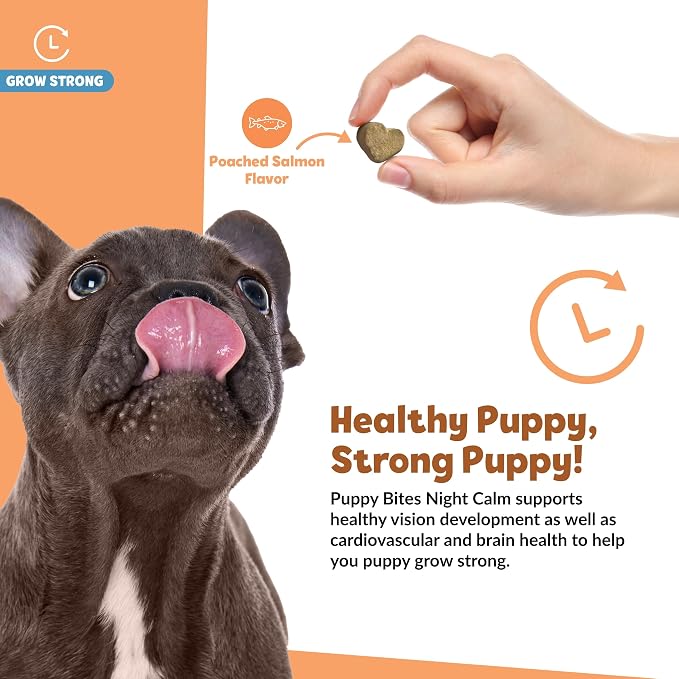 Snuggle Puppy Puppy Bites Grow Strong Supplement - Dog Soft Chews for Overall Health - Omega 3 Supplement for Dog Health - Fish Oil Chews for Dogs - 60 Soft Chews