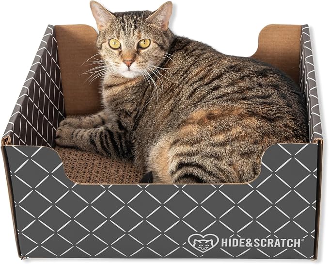 2X Hide & Scratch Cat Scratcher Boxes Plus 2 Scratch Pad Refills