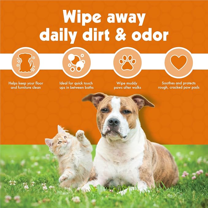 Petkin Big N' Thick Paw Wipes for Dogs, 200 Large Wipes - Clean Dirty Paws After Walks, with Paw Balm Protectant - Keep Floors and Furniture Clean - Ideal for Home or Travel - 2 Packs of 100 Wipes