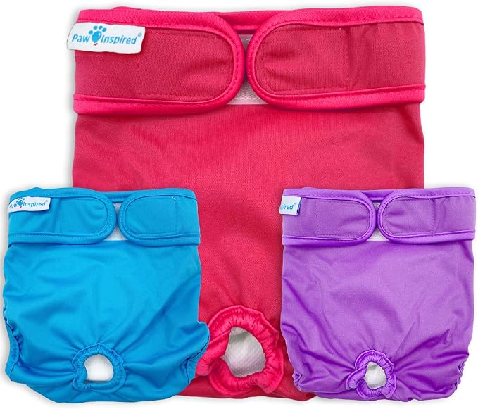 Paw Inspired Reusable Washable Dog Diapers (Pack of 3) in Assorted Colors with White Lining and Dog Diaper Suspenders in Black Combo Pack (Small)