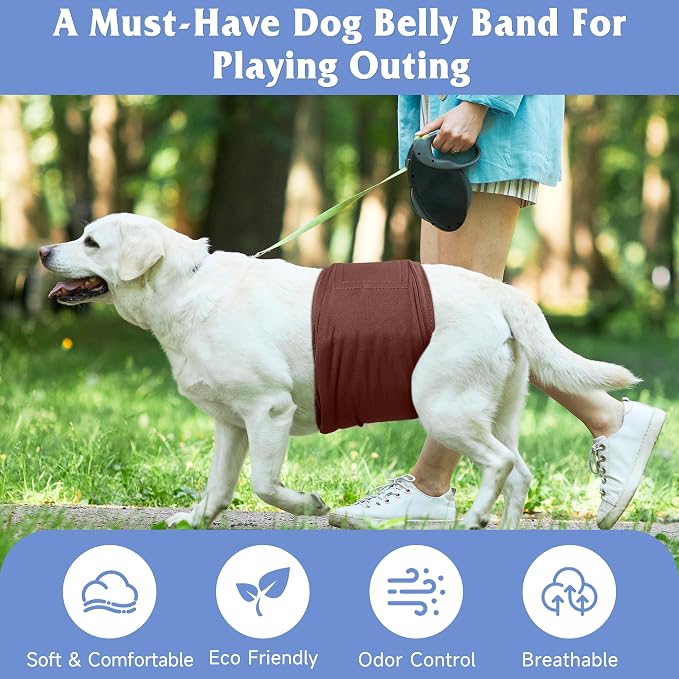 Reusable Dog Diapers Male 3Pcs, Premium Washable Belly Bands for Male Dogs XSmall, High Absorbing Male Dog Wraps for Doggie & Puppy in Incontinence, Excitable Urination and Training XS