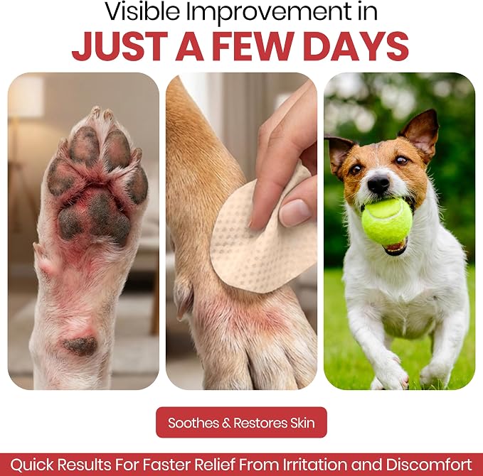 Soothing Dog Paw Wipes for Itchy Skin - Antibacterial and Antifungal Formula With Chlorhexidine and Ketoconazole - Daily Paw Cleaning Alternative to Shampoos - All Breeds | 50 Count | Made in the USA