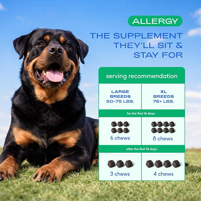 Native Pet Dog Allergy Chews - Dog Allergy Relief with Probiotics and Colostrum for Itchy Skin Relief to Support Seasonal Allergy and Healthy Immune System - All Natural Anti-Histamine - 90 Chews
