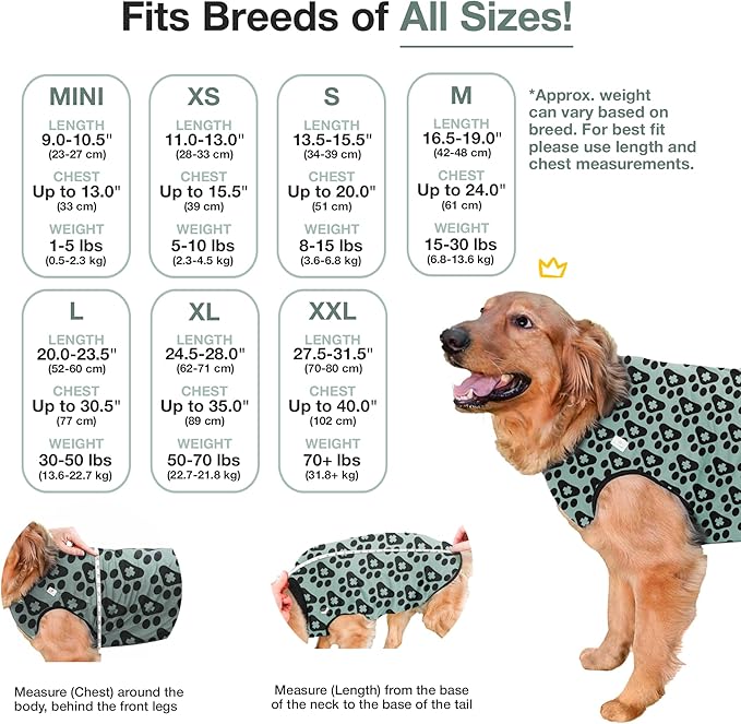 BellyGuard Dog Surgery Recovery Suit, Post-Op Dog Recovery Suit for Female Spay & Male Neuter, Comfy Onesie for Pets, Surgical Body Cover for Canine Healing Support